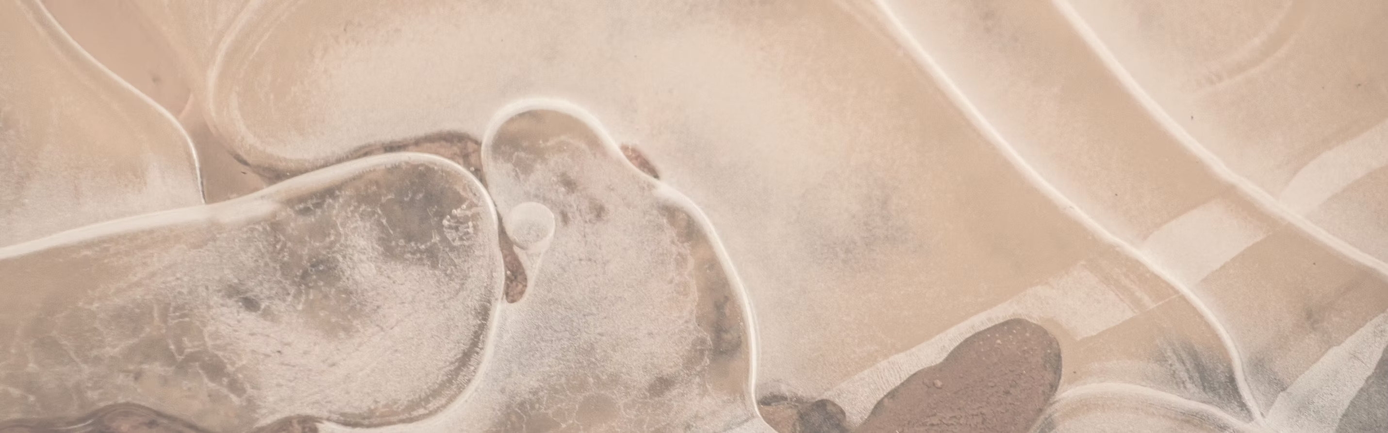 Projects Header Image